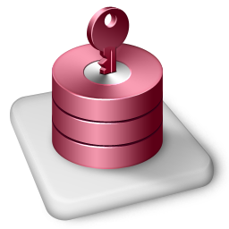Color MS Access Icon 256px png